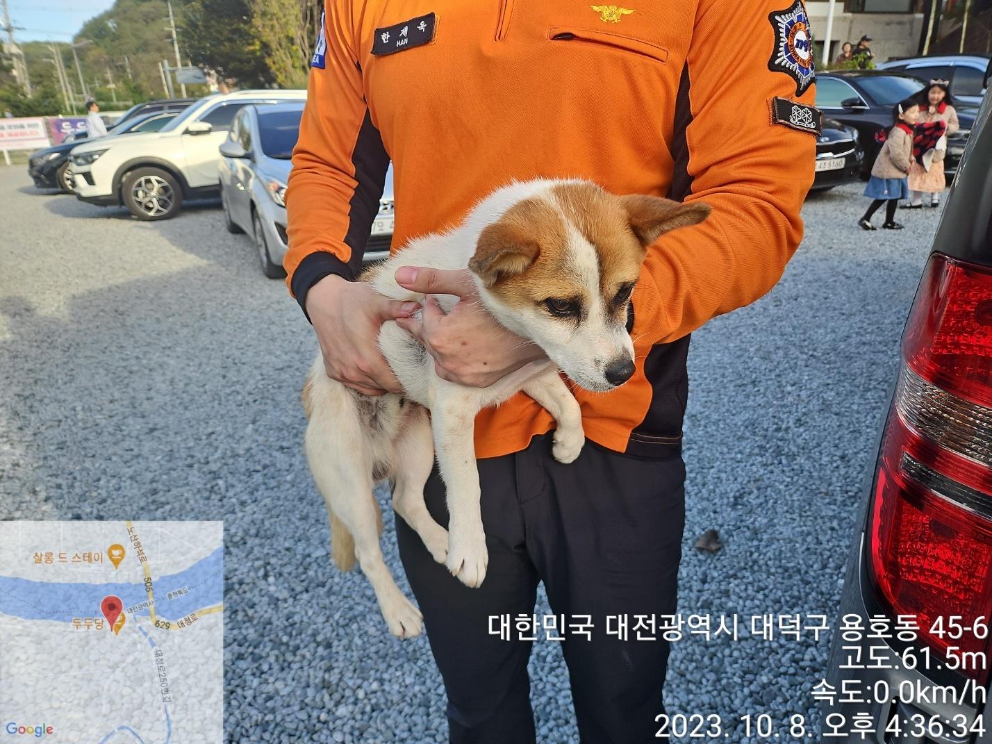 대전동물보호센터_430368202300451